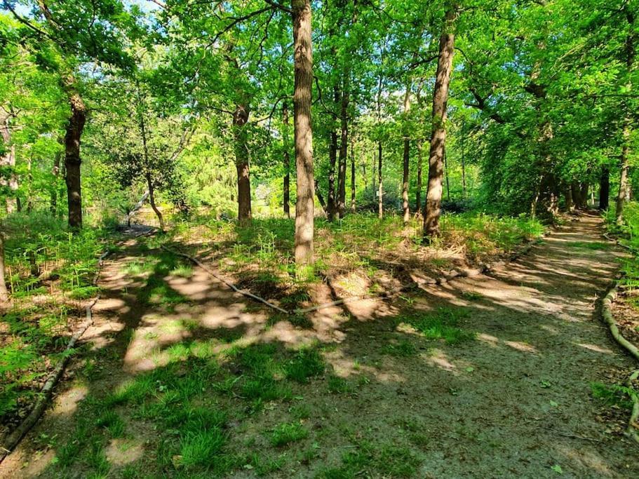 Midden In De Friese Bossen Op Landgoed Princenhof Oranjewoud Exterior photo